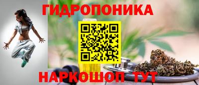 дживик Лесосибирск